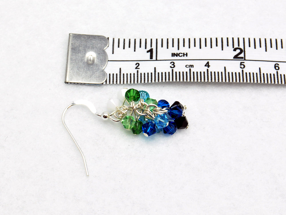 The Human Cluster Earrings - Fandoms in Swarovski