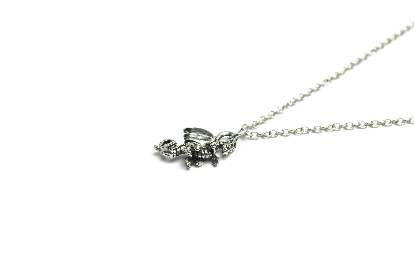 Dragon Necklace in Silver